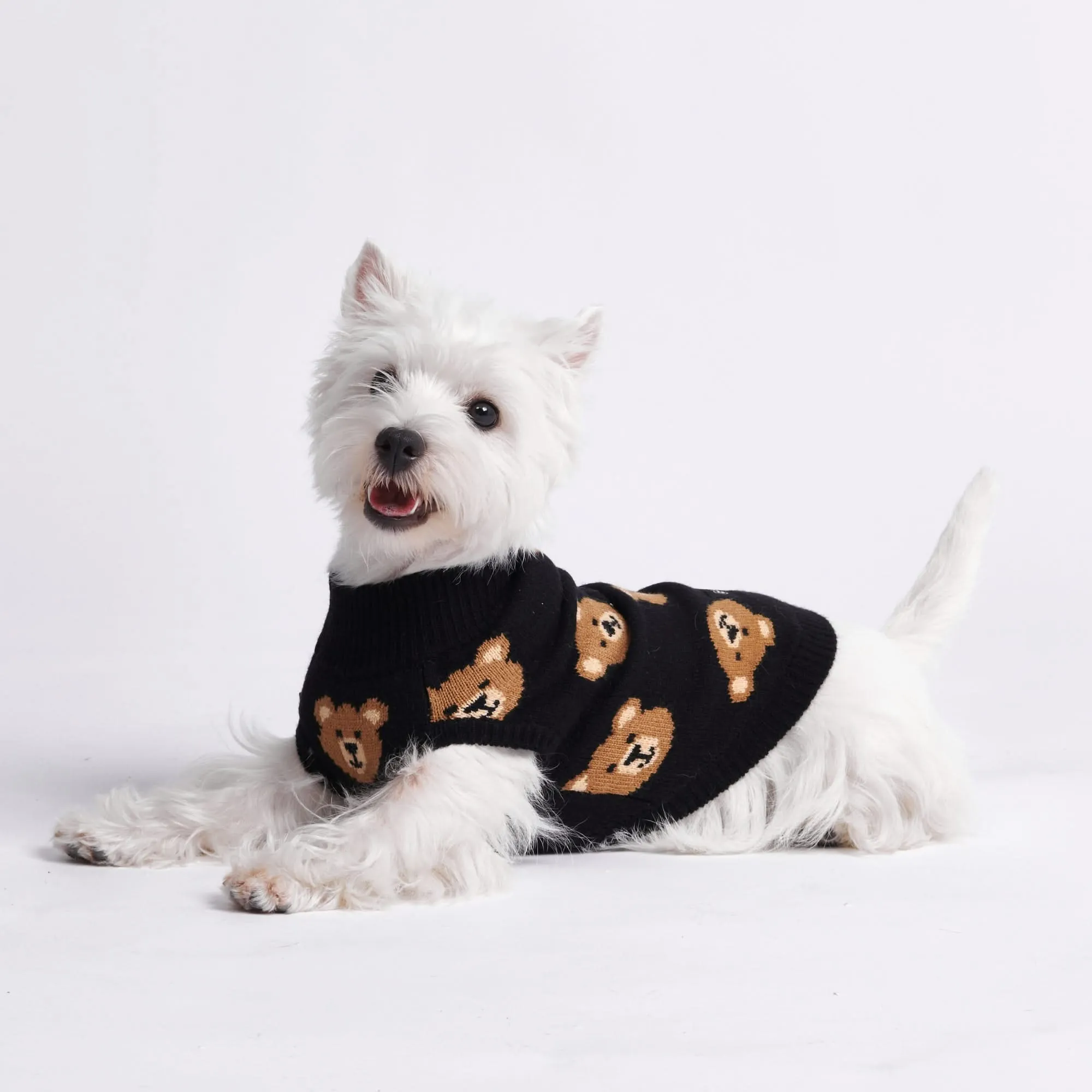 Broken Teddy Bear Knit Dog Sweater - Black