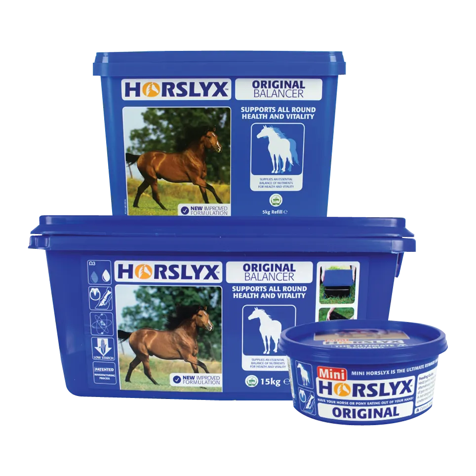 Horslyx Original Balancer Lick