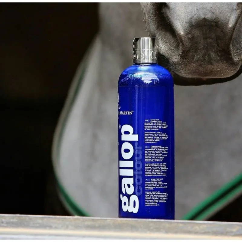 Shampoo Gallop Grey