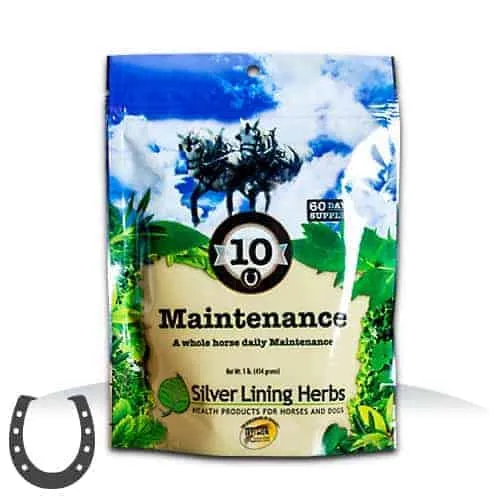 Silver Lining Herbs 10 Maintenance for Horses