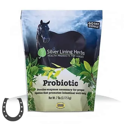 Silver Lining Herbs Probiotic For Horses