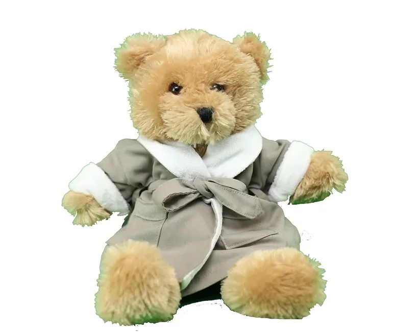 Teddy Bear in Robe