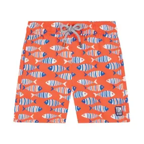 TOM & TEDDY - Boy's Shorts  (Orange Striped Fish)