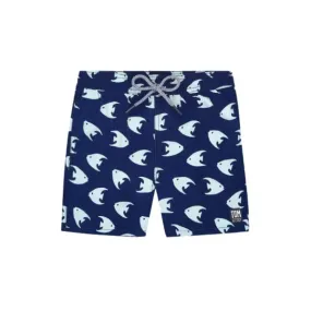 TOM & TEDDY - Boy's Shorts (Deep Blue & Angel Fish)