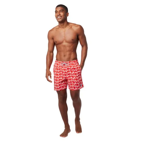 TOM & TEDDY - Men's Shorts  (Red & White Turtles)