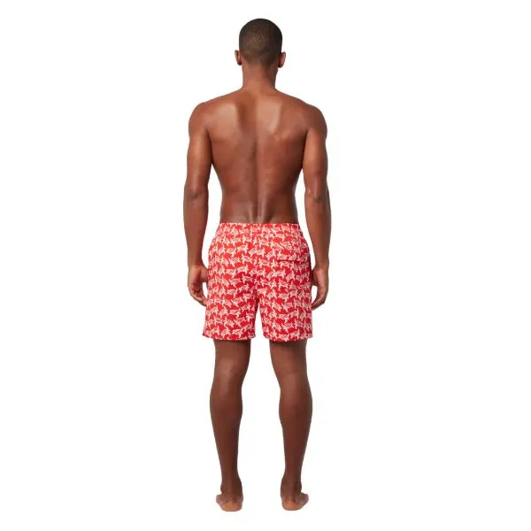 TOM & TEDDY - Men's Shorts  (Red & White Turtles)