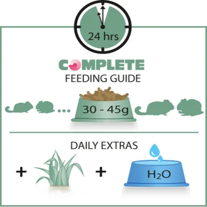 Versele-Laga Complete Chinchilla & Degu Food