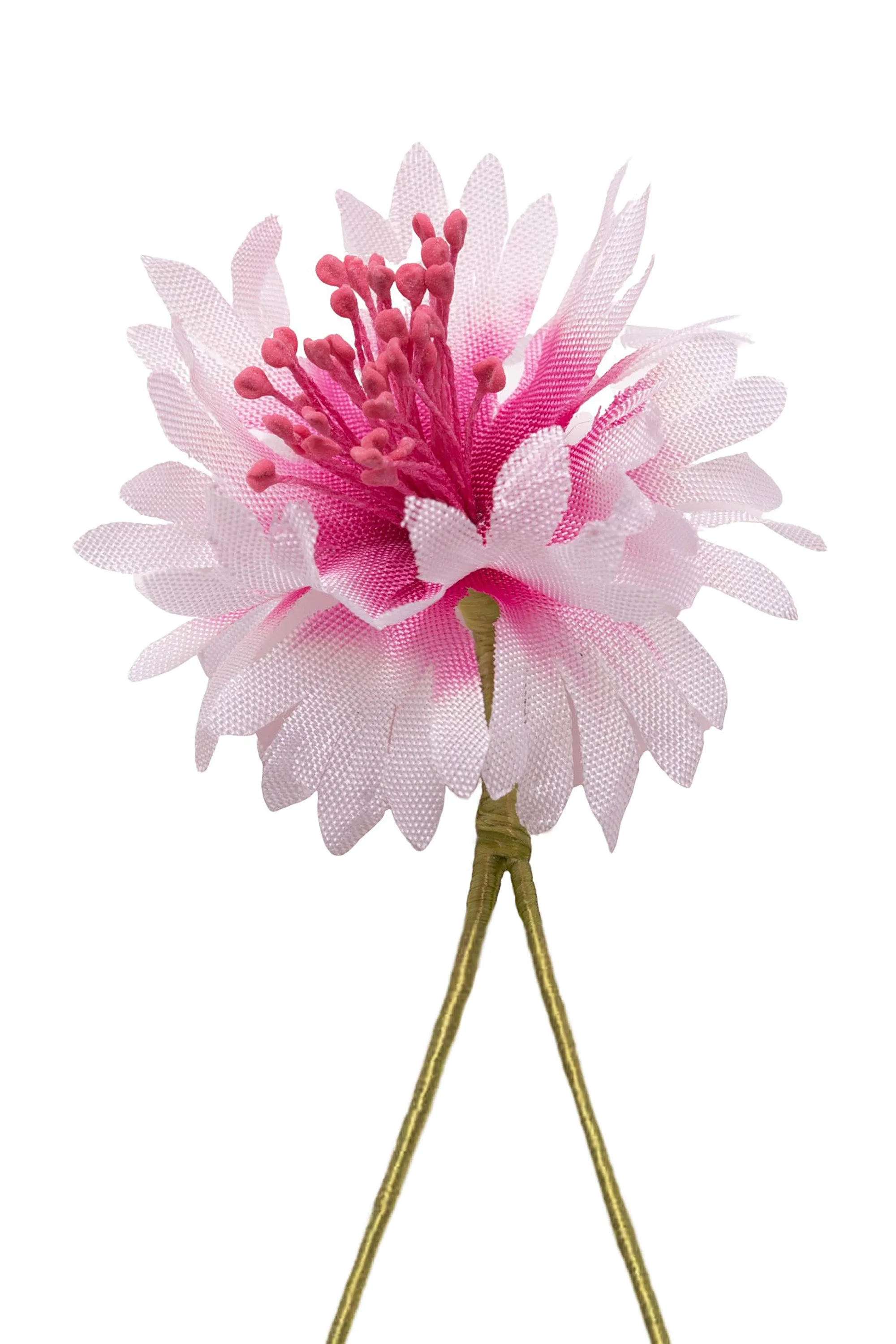 White & Magenta Cornflower Boutonnière Flower